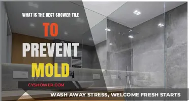 Top Shower Tile Choices to Resist Mold and Mildew Effectively
