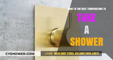 Optimal Shower Temperature: Finding the Perfect Balance for Comfort and Health