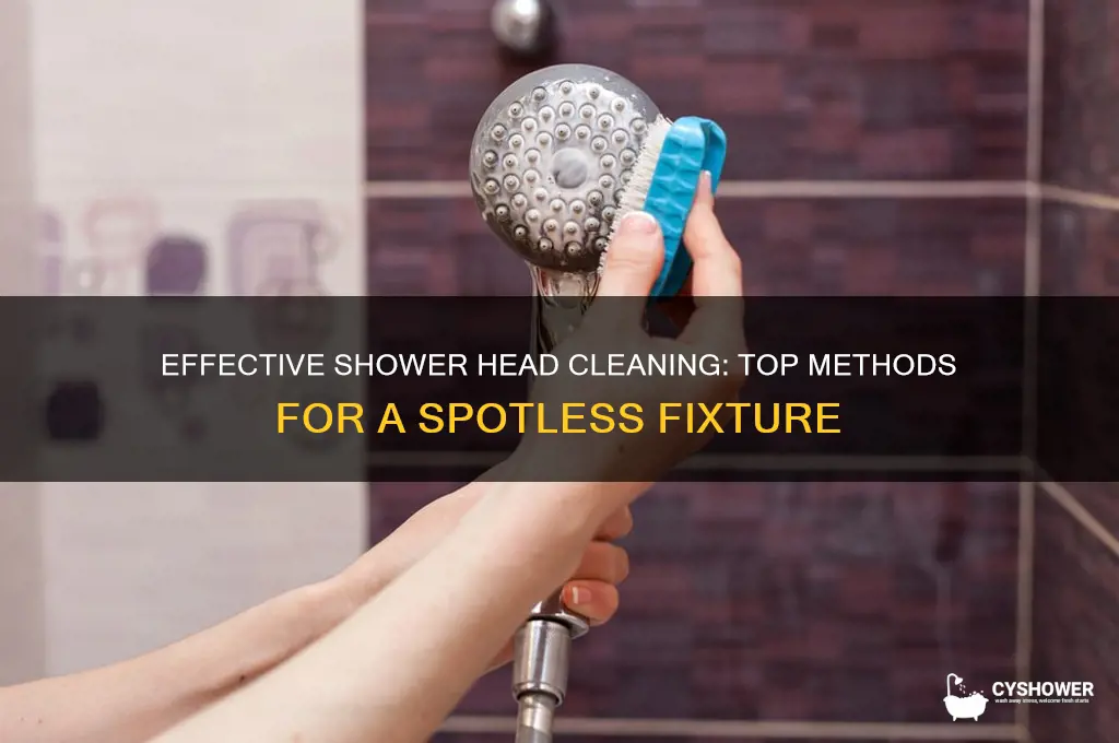 what is the best thing to clean a shower head