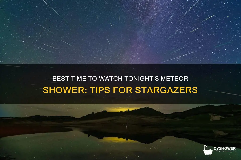 what is the best time to see tonight meteor shower