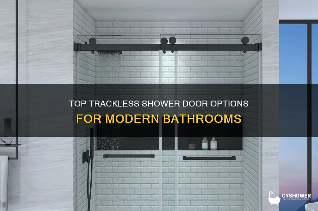 what is the best trackless shower door