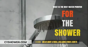 Top Shower Water Purifiers: Clean, Safe, and Refreshing Bathing Solutions