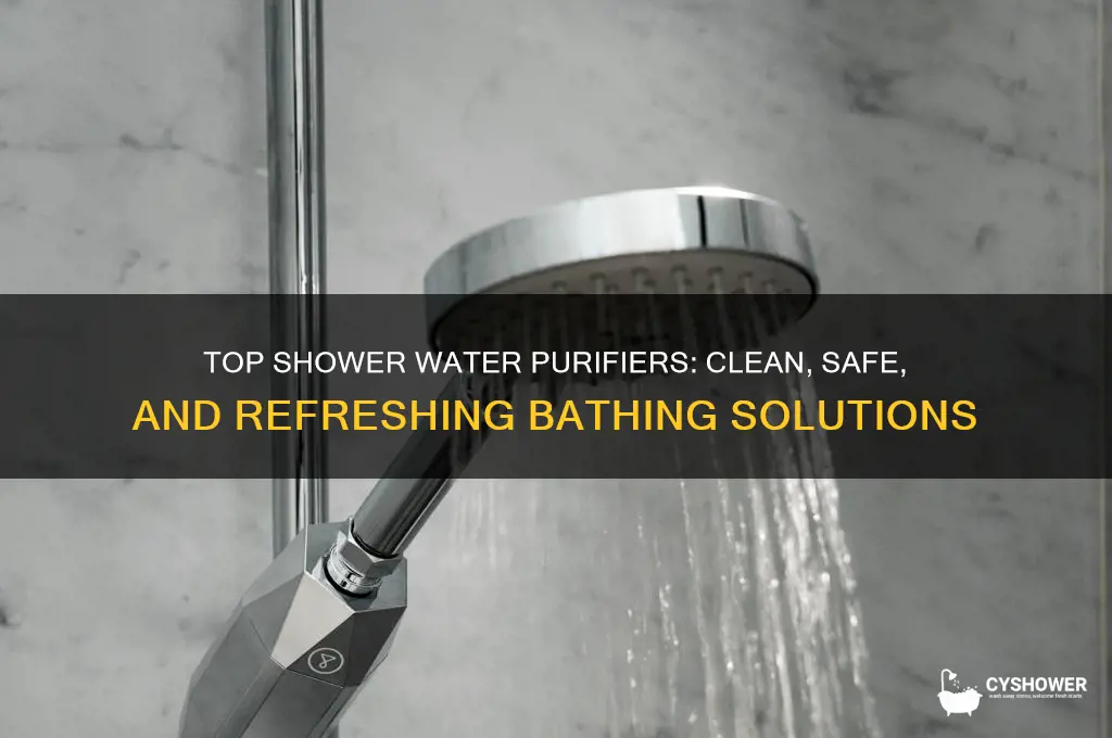 what is the best water purifier for the shower