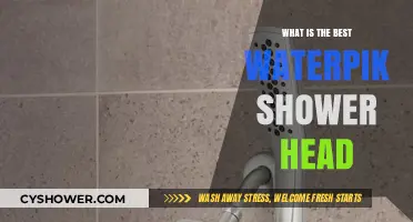 Top Waterpik Shower Heads: Ultimate Guide to the Best Picks