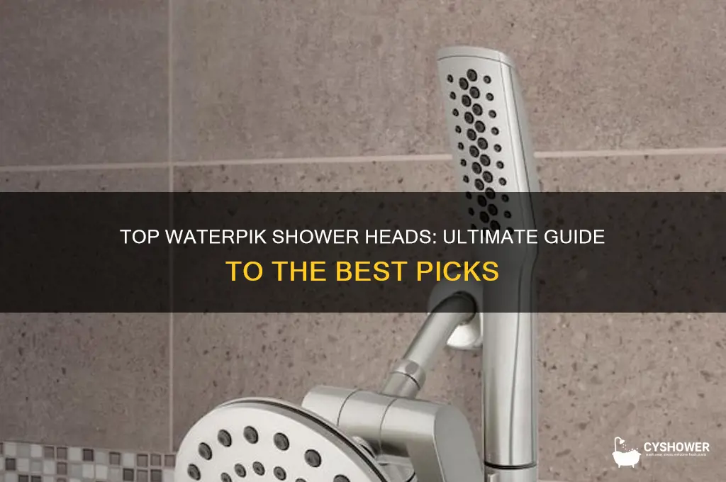 what is the best waterpik shower head