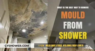 Effective Shower Mould Removal: Top Tips for a Clean Bathroom