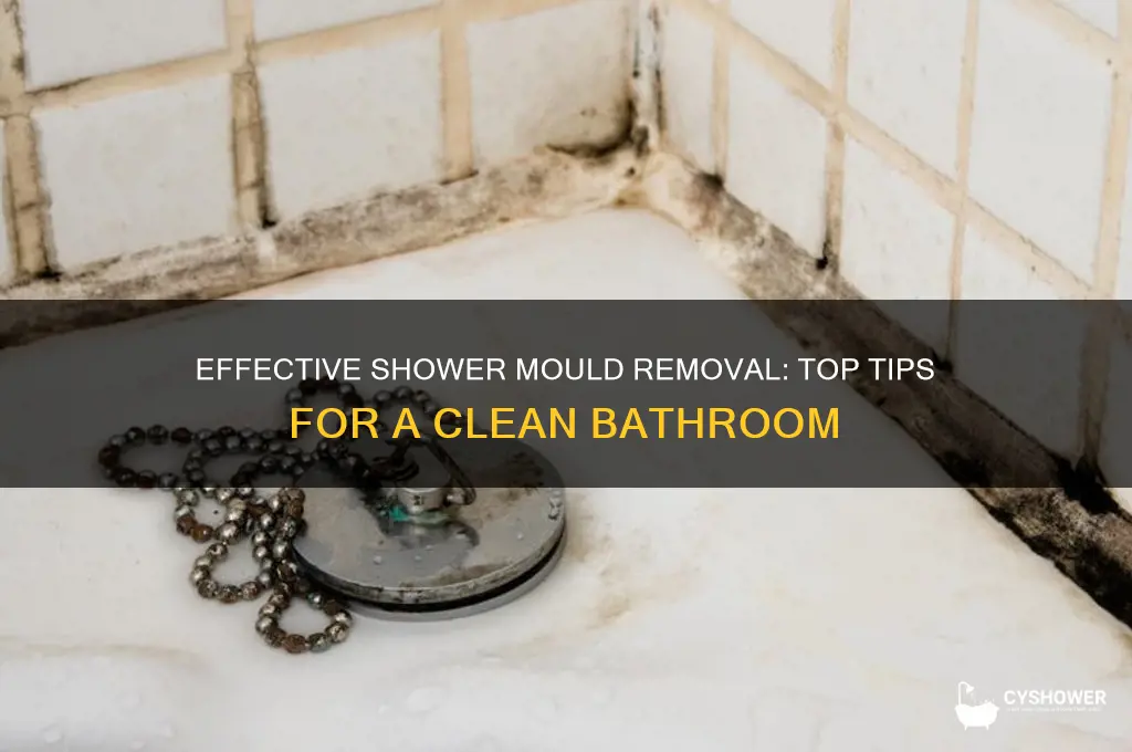 what is the best way to remove mould from shower