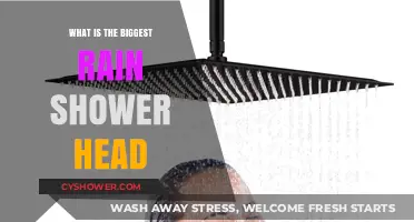 Discover the Largest Rain Shower Head for Ultimate Luxury Bathing
