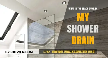 Unclogging the Mystery: Understanding the Black Gunk in Your Shower Drain