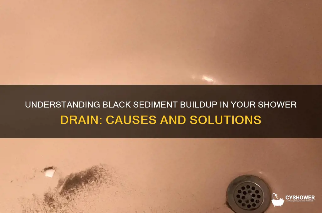 what is the black sediment in my shower drain