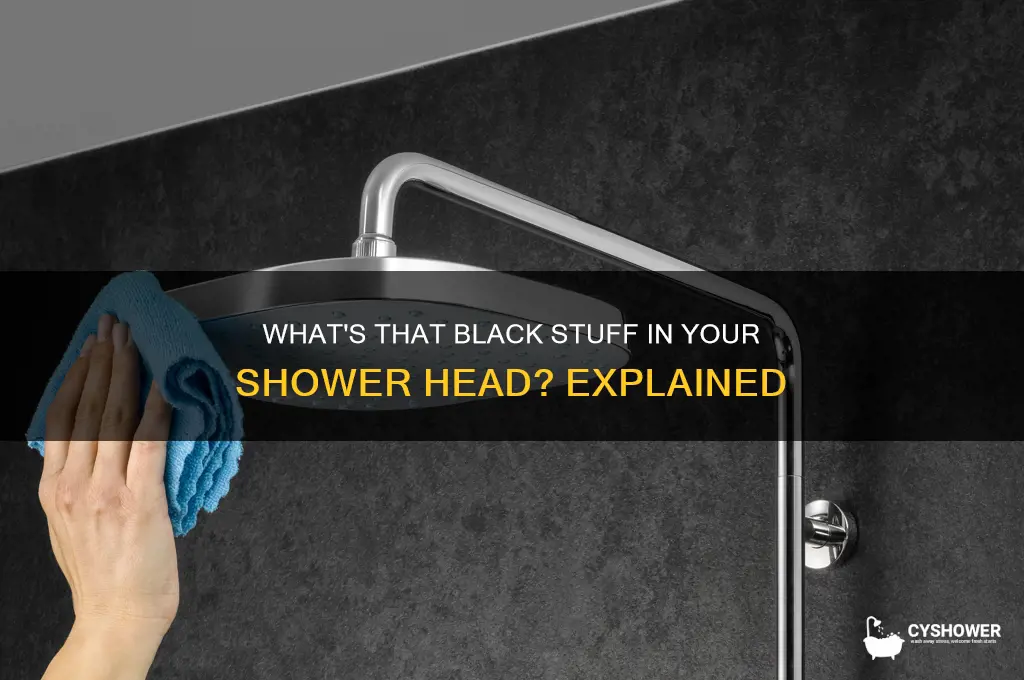 what is the black stuff in shower head