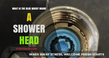 Understanding the Blue Insert Inside Your Shower Head: Purpose and Benefits