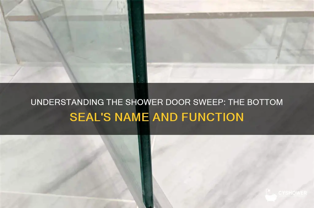 what is the bottom of the shower door called