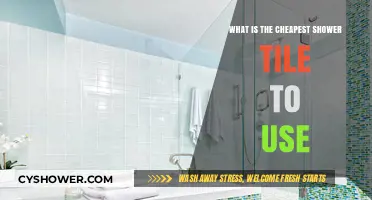 Budget-Friendly Bathroom Makeover: Affordable Shower Tile Options Revealed