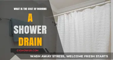 Shower Drain Rodding Costs: What to Expect for Your Plumbing