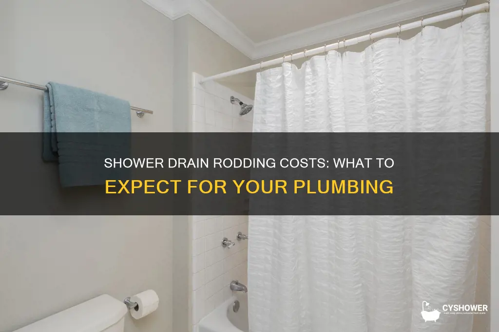 what is the cost of rodding a shower drain