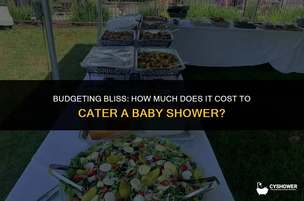 what is the cost to cater a baby shower