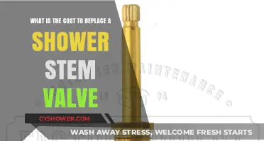 Shower Stem Valve Replacement Cost: What to Expect