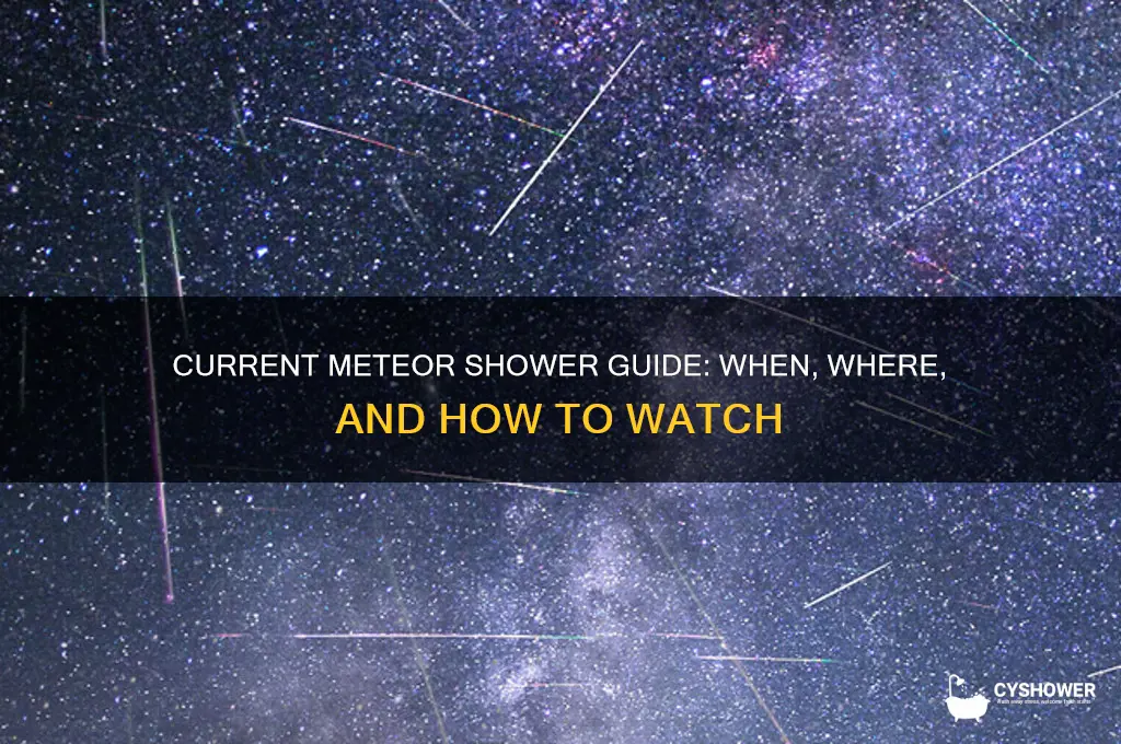 what is the current meteor shower