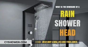 Rain Shower Heads: Uncovering Hidden Drawbacks and Maintenance Challenges