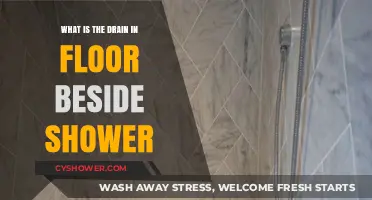 Understanding the Purpose of the Floor Drain Next to Your Shower