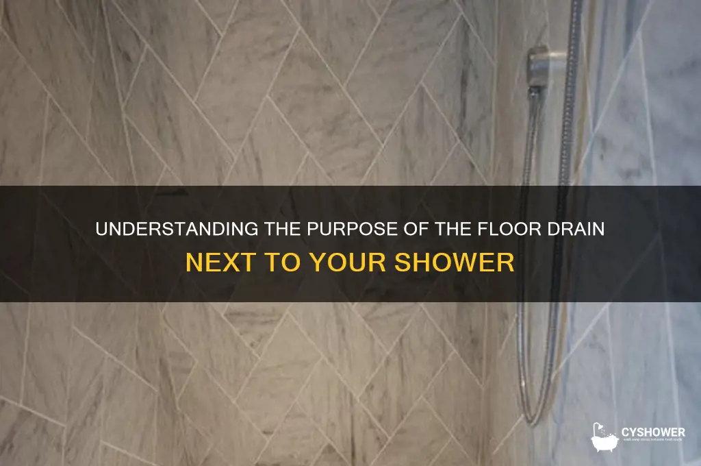 what is the drain in floor beside shower