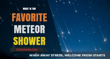 Stargazers' Delight: Discovering the Most Beloved Meteor Shower