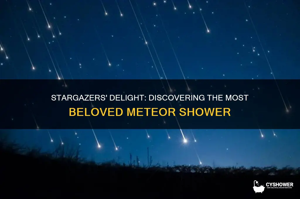 what is the favorite meteor shower