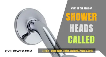 Understanding Antidromophobia: The Fear of Shower Heads Explained