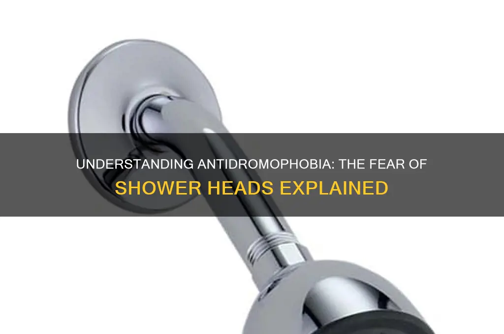 what is the fear of shower heads called