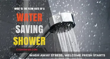 Efficient Showers: Understanding Water-Saving Flow Rates and Benefits