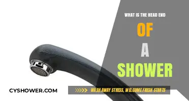 Understanding the Shower Head End: Function, Installation, and Maintenance Tips
