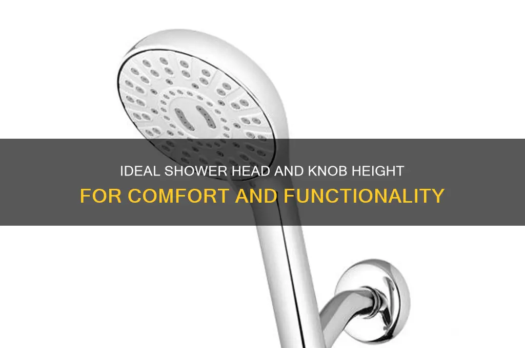 what is the height of a shower head and nob