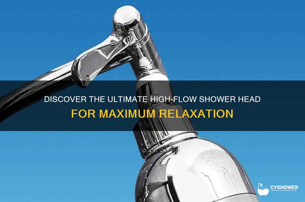 what is the highest flow shower head