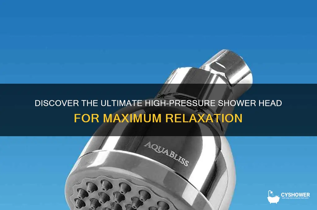 what is the highest pressure shower head