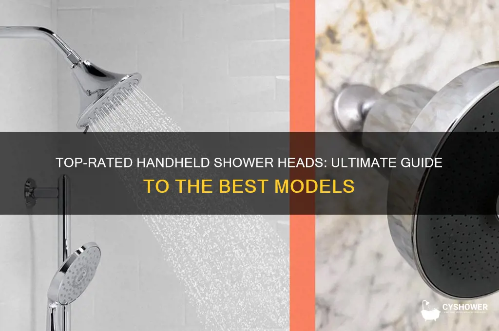 what is the highest rated handheld shower head