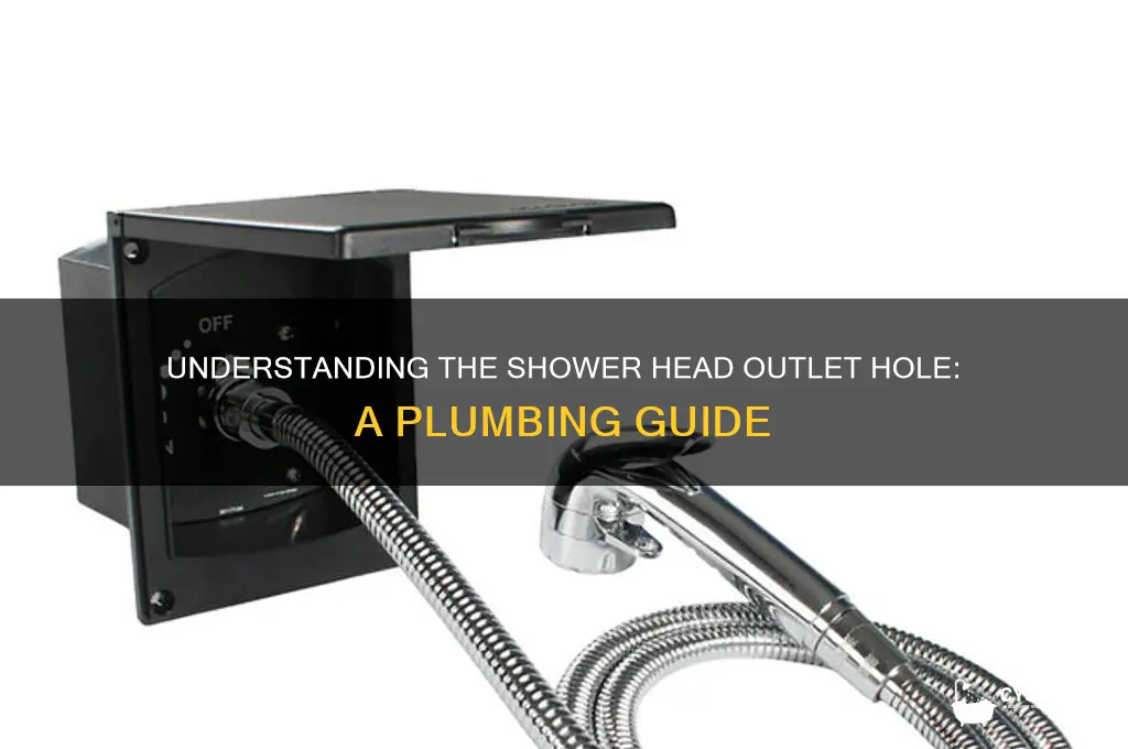 what is the hole that the shower head outlet called