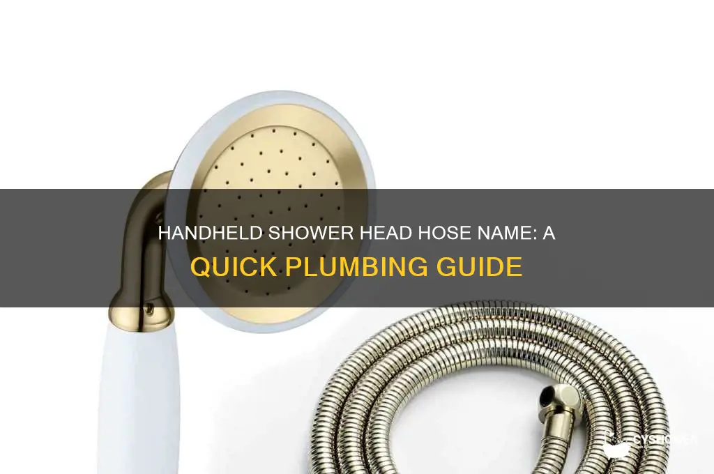 what is the hose on a handheld shower head called