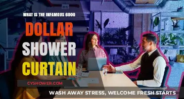 The Infamous $6000 Shower Curtain: Unveiling the Luxury Mystery