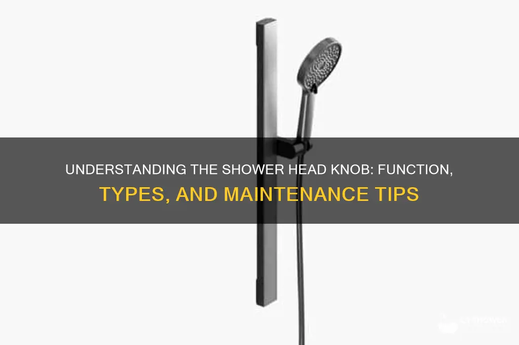 what is the knob on the shower head
