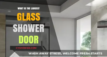 Discover the Largest Glass Shower Door Options Available Today