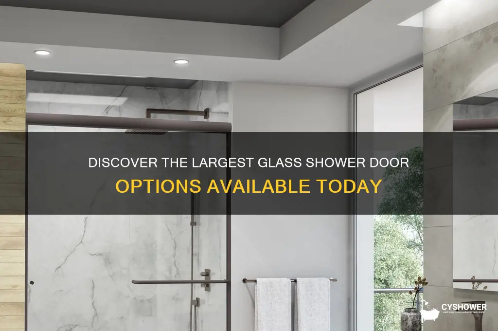 what is the largest glass shower door