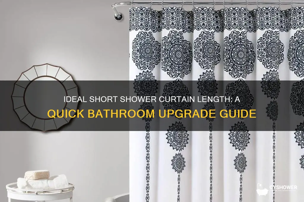 what is the length of a short shower curtain