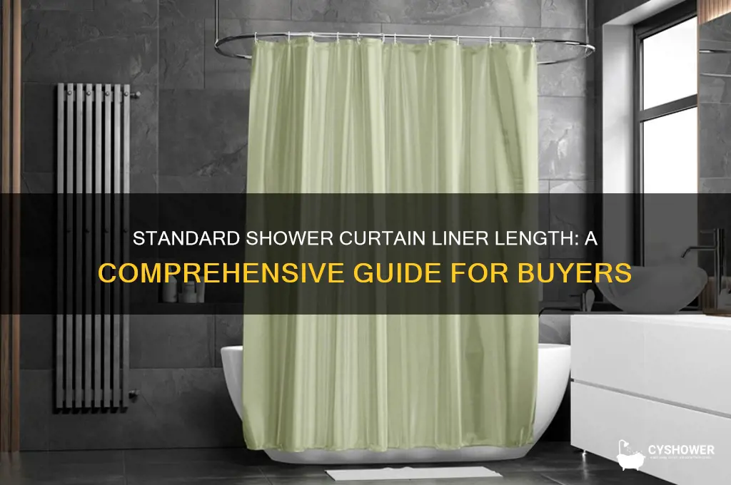 what is the length of a shower curtain liner