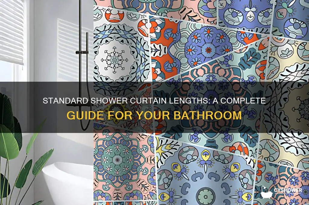 what is the length of shower curtains