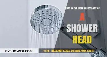 How Long Do Shower Heads Last? A Lifespan Guide