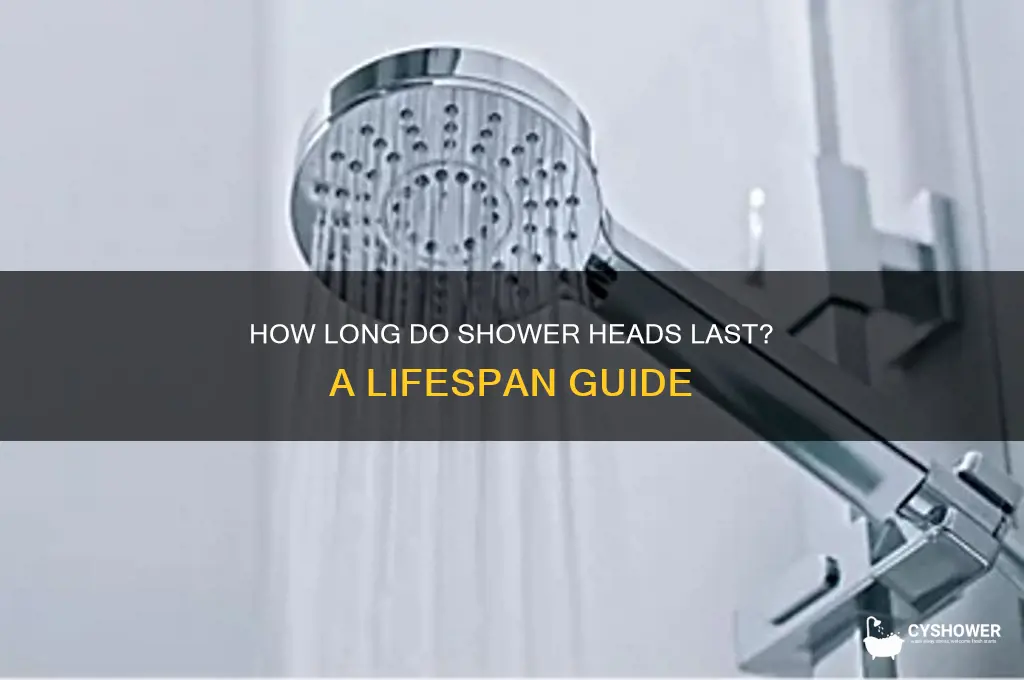 what is the liofe expectancy of a shower head