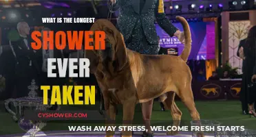 The Ultimate Record: Longest Shower Ever Taken in History