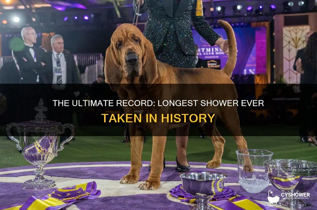 what is the longest shower ever taken
