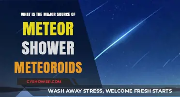 Unveiling the Celestial Origins of Meteor Shower Meteoroids